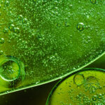 Cultivo de microalgas en fotobiorreactores como método biológico para capturar CO2 y reducir la huella de carbono.