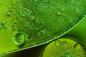 Cultivo de microalgas en fotobiorreactores como método biológico para capturar CO2 y reducir la huella de carbono.