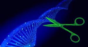 Investigadores de Mayo Clinic utilizan CRISPR para mejorar la eficacia de las células CAR-T en terapias contra el cáncer mediante la eliminación de la proteína IL-4.