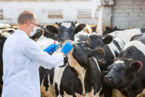 Investigadora argentina manipulando un dispositivo portátil para detectar tuberculosis bovina, en un laboratorio con equipamiento científico.