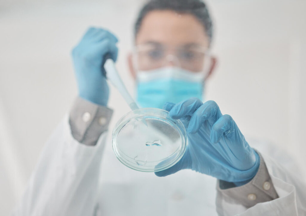 Investigador observando cultivos celulares para trasplante de células madre en laboratorio de medicina regenerativa.