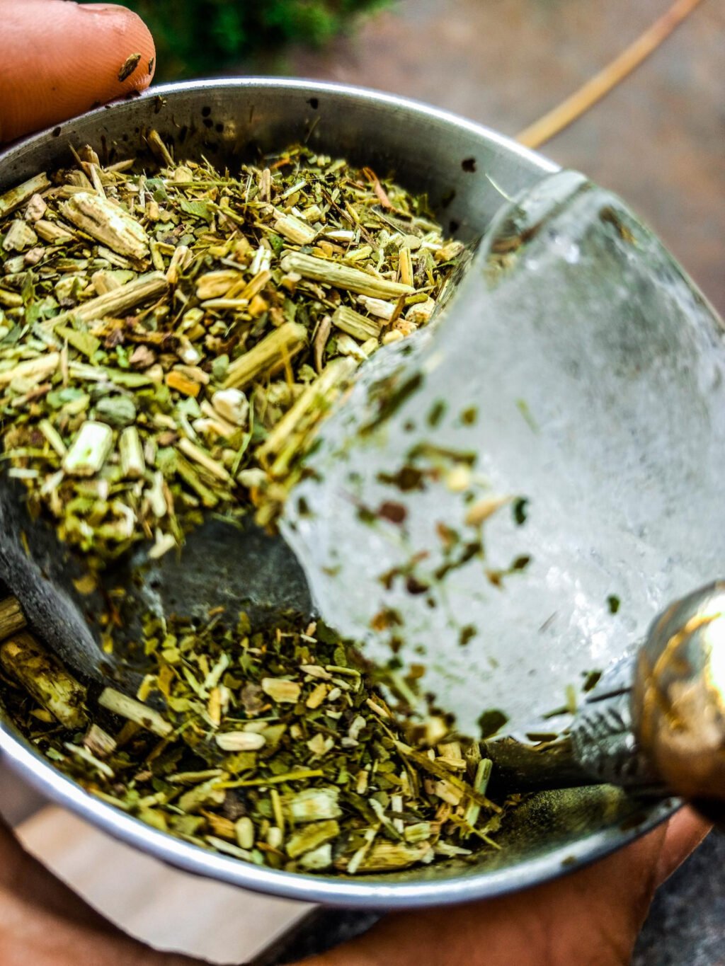 El genoma de la yerba mate: un hito científico argentino