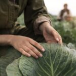 El análisis de Gustavo Grobocopate acerca de la agricultura en Argentina: "Requiere líderes que motiven, no que coaccionen"