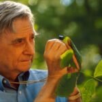 La tecnología y la genética: Edward O. Wilson, biodiversidad y biofilia