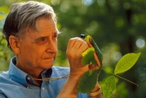 La tecnología y la genética: Edward O. Wilson, biodiversidad y biofilia